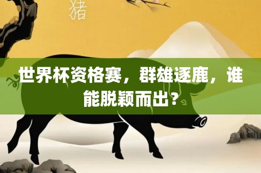 世界杯资格赛，群雄逐鹿，谁能脱颖而出？金炬实业股份有限公司