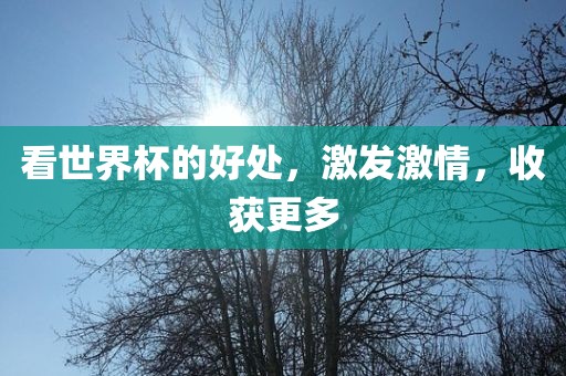 看世界杯的好处，激发激情，收获更多金炬实业股份有限公司