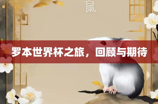 罗本世界杯之旅，回顾与期待金炬实业股份有限公司