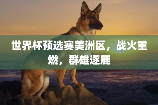 世界杯预选赛美洲区，战火重燃，群雄逐鹿