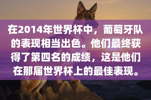 葡萄牙队 第2页