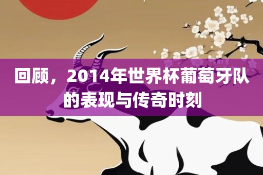 回顾，2014年世界杯葡萄牙队的表现与传奇时刻