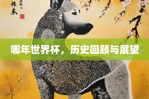 哪年世界杯，历史回顾与展望