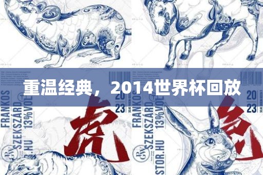 重温经典，2014世界杯回放金炬实业股份有限公司