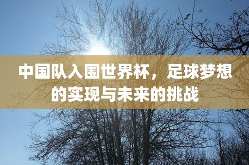 中国队入围世界杯，足球梦想的实现与未来的挑战