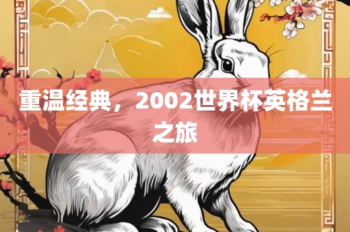 重温经典，2002世界杯英格兰之旅金炬实业股份有限公司
