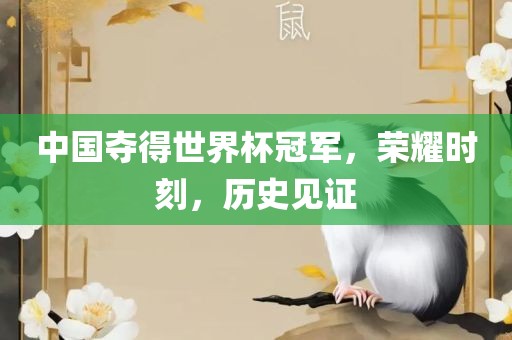 中国夺得世界杯冠军，荣耀时刻，历史见证