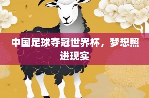 中国足金炬实业股份有限公司球夺冠世界杯，梦想照进现实