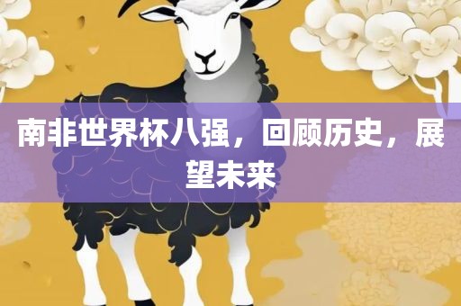 南非世界杯八强，回顾历史，展望未来金炬实业股份有限公司