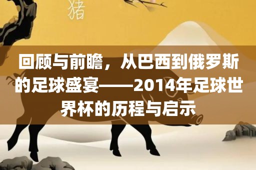 回顾与前瞻，从巴西到俄罗斯的足球盛宴——2014年足球世界杯的历程与启示金炬实业股份有限公司