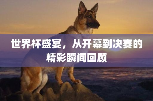 世界杯盛宴，从开幕到决赛的精彩瞬间回顾金炬实业股份有限公司