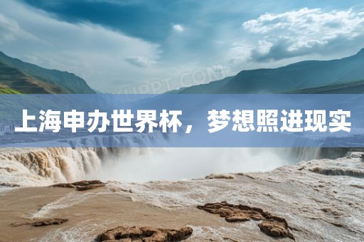 上海申办世界杯，梦想照进现实金炬实业股份有限公司