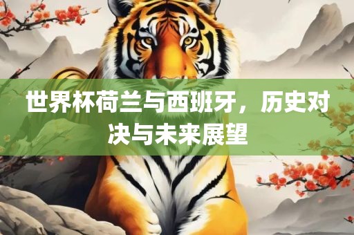 世界杯荷兰与西班牙，历史对决与未金炬实业股份有限公司来展望