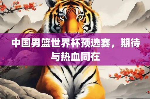 中国男篮世界杯预选赛，期待与热血同在