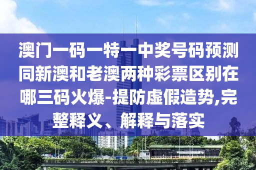 排球世界杯，热血盛宴，全球瞩目