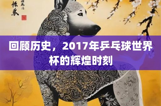 回顾历史，2017年乒乓球世界杯的辉煌时刻金炬实业股份有限公司