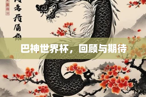 巴神世界杯，回顾与期待金炬实业股份有限公司