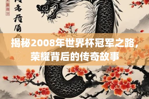 揭秘2008年世界杯冠军之路，荣耀背后的传奇故事