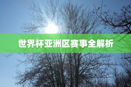 世界杯亚洲区赛事全解析