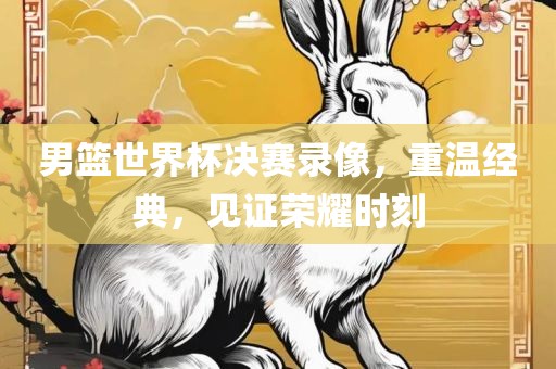 金炬实业股份有限公司男篮世界杯决赛录像，重温经典，见证荣耀时刻