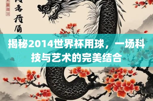 揭秘2014世界杯用球，一场科技与艺术的完美结合