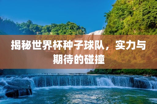 揭秘世界杯种子球队，实力与期待的碰撞