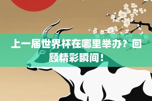 上一届世界杯在哪里举办？回顾精彩瞬间！金炬实业股份有限公司