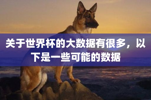 关于世界杯的大数据有很多，以下是一些可能的数据金炬实业股份有限公司