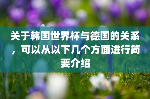 关于韩国世界杯与德国的关系，可以从以下几个方面进行简要介绍