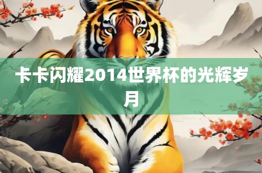 卡卡闪耀2014世界杯的光辉岁月