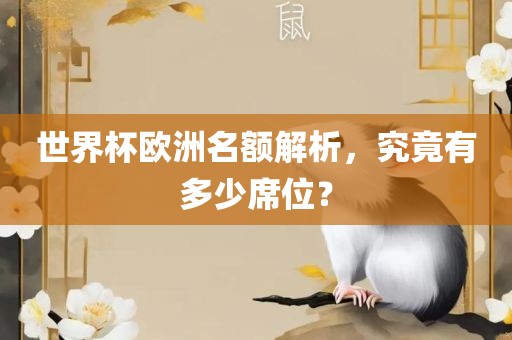 世界杯欧洲名额解析，究竟有金炬实业股份有限公司多少席位？