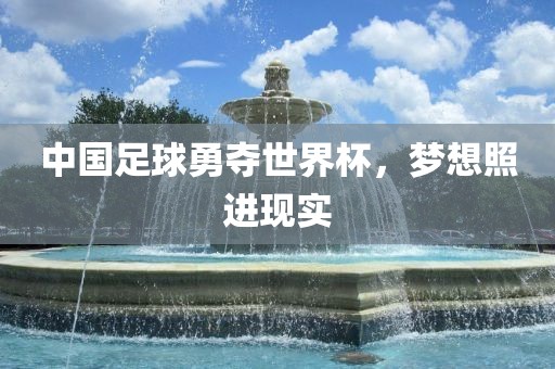 中国足球 第5页