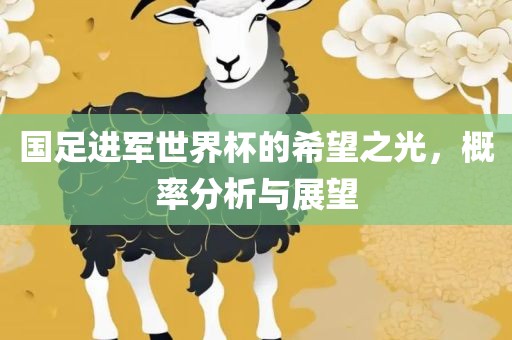 国足进军世界杯的希望之光，概率分析与展望