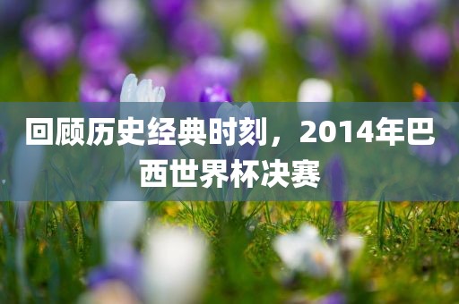 回顾历史经典时刻，2014年巴西世界杯决金炬实业股份有限公司赛