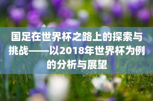 国足在世界杯之路上的探索与挑战——以2018年世界杯为例的分析与展望