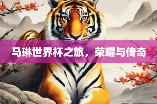 马琳世界杯之旅，荣耀与传奇金炬实业股份有限公司