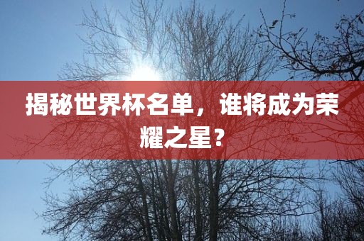 揭秘世界杯名单，谁将成为荣耀之星？