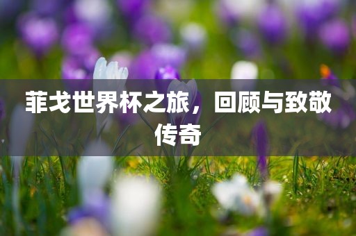 菲戈世界杯之旅，回顾与致敬传奇金炬实业股份有限公司