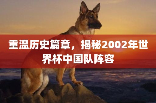重温历史篇章，揭秘2002年世界杯中国队阵容