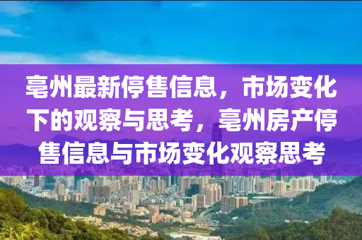 关于足球世界杯金炬实业股份有限公司，历史、魅力与未来展望