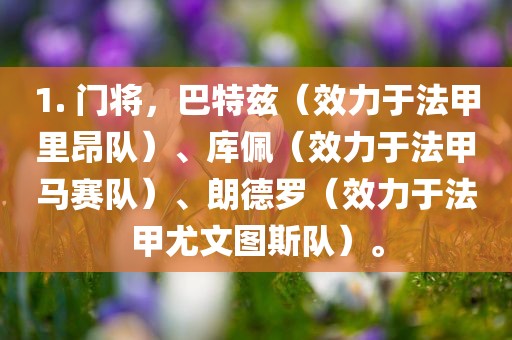 1. 门将，巴特兹（效力于法甲里昂队）、库佩（效力于法甲马赛队）、朗德罗（效力于法甲尤文图斯队）。金炬实业股份有限公司