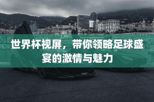 世界杯视屏，带你领略足球盛宴的激情与魅力