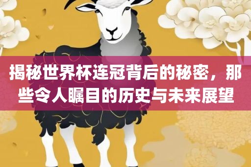 历史与未来展望 第5页