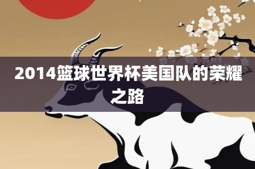 2014篮球世界杯美国队的荣耀之路