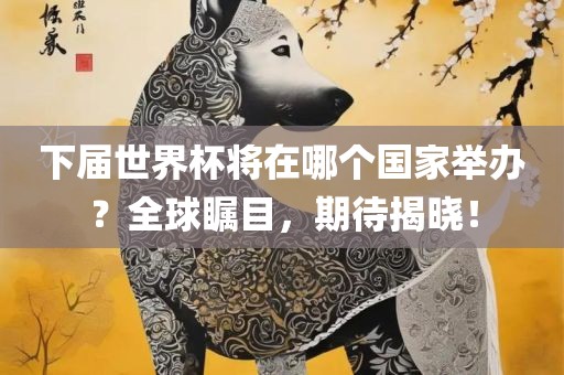 下届世界杯将在哪个国家举办？全球瞩目，期待揭晓！