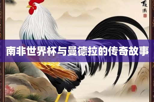 南非世界杯与曼德拉的传奇故事金炬实业股份有限公司