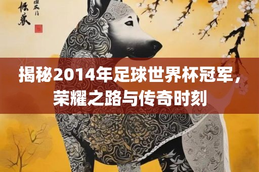 揭秘2014年足球世界杯冠军，荣耀之路与传奇时刻