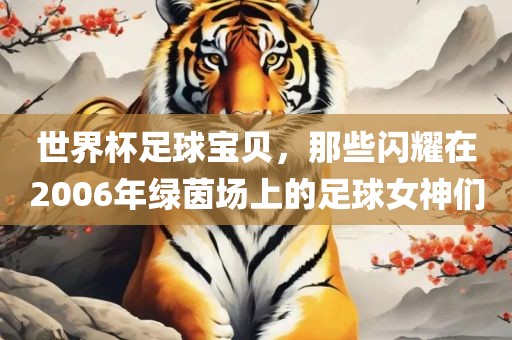 世界杯足球宝贝，那些闪耀在2006年绿茵场上的足球女神们