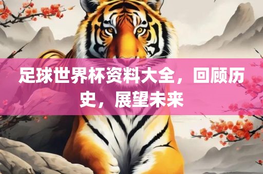 足球世界杯资料大全，回顾历史，展望未来金炬实业股份有限公司