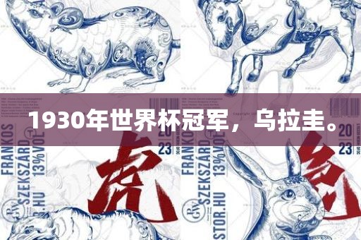 1930年世界杯冠军，乌拉圭。